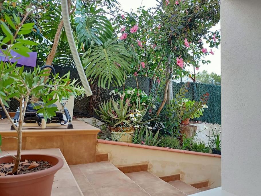 Villa Falconera Apartaments, Gandia A Las Faldas De La Montana المظهر الخارجي الصورة
