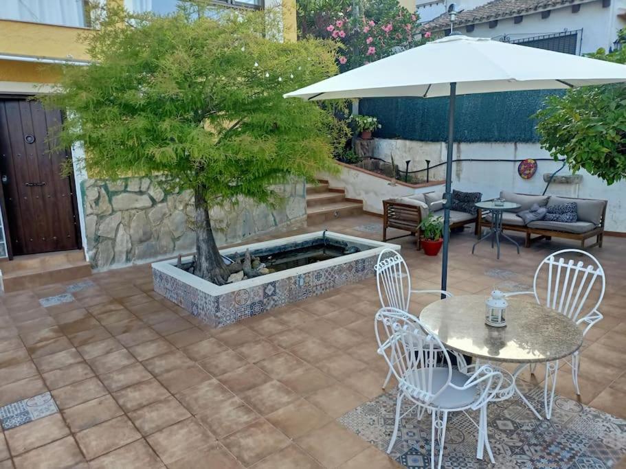 Villa Falconera Apartaments, Gandia A Las Faldas De La Montana المظهر الخارجي الصورة