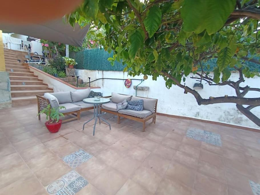 Villa Falconera Apartaments, Gandia A Las Faldas De La Montana المظهر الخارجي الصورة