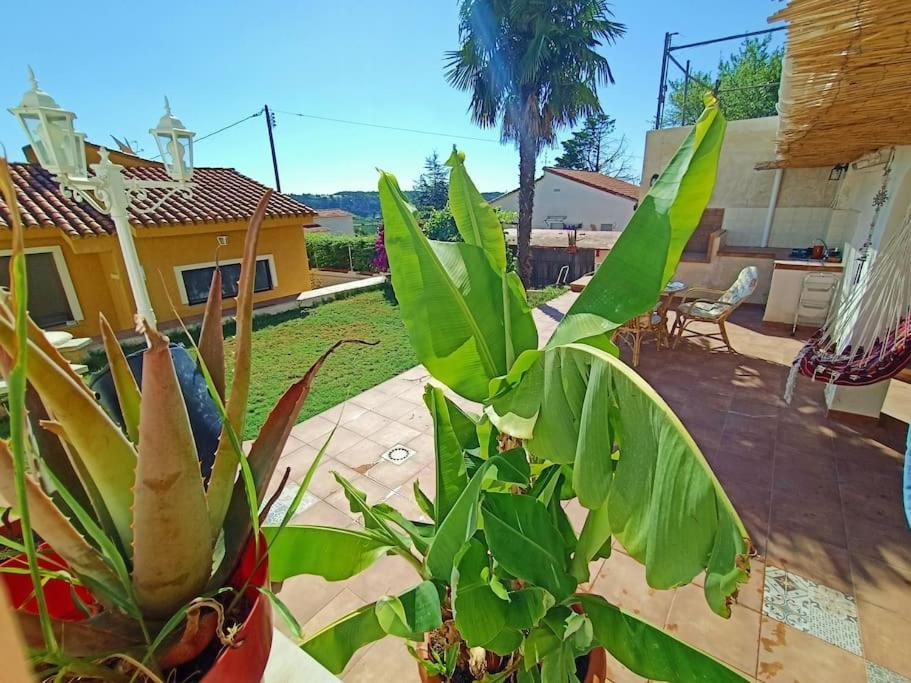 Villa Falconera Apartaments, Gandia A Las Faldas De La Montana المظهر الخارجي الصورة
