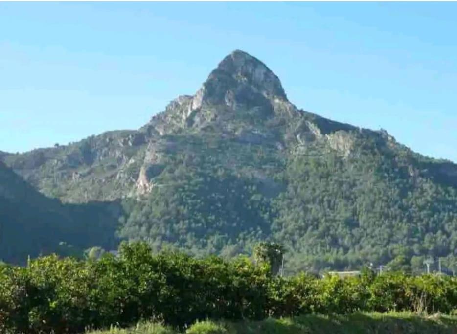 Villa Falconera Apartaments, Gandia A Las Faldas De La Montana المظهر الخارجي الصورة